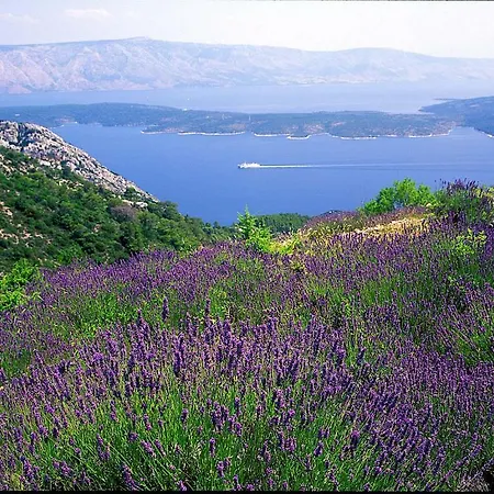 Jurjevac 2* Stari Grad (Hvar)