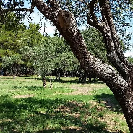 Jurjevac Feriepark Stari Grad (Hvar)
