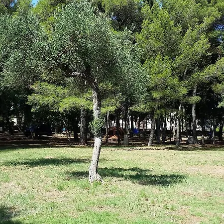 Jurjevac منتزه العطل